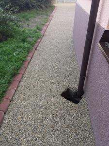 20140917_092331.jpg