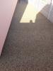 20140917_092428_t1.jpg