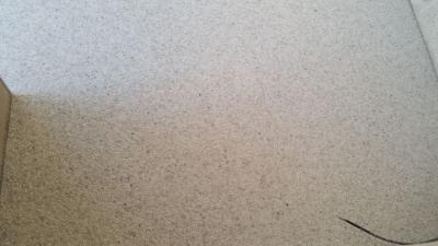 20160509_190536.jpg
