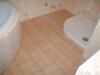 p1010159_t1.jpg